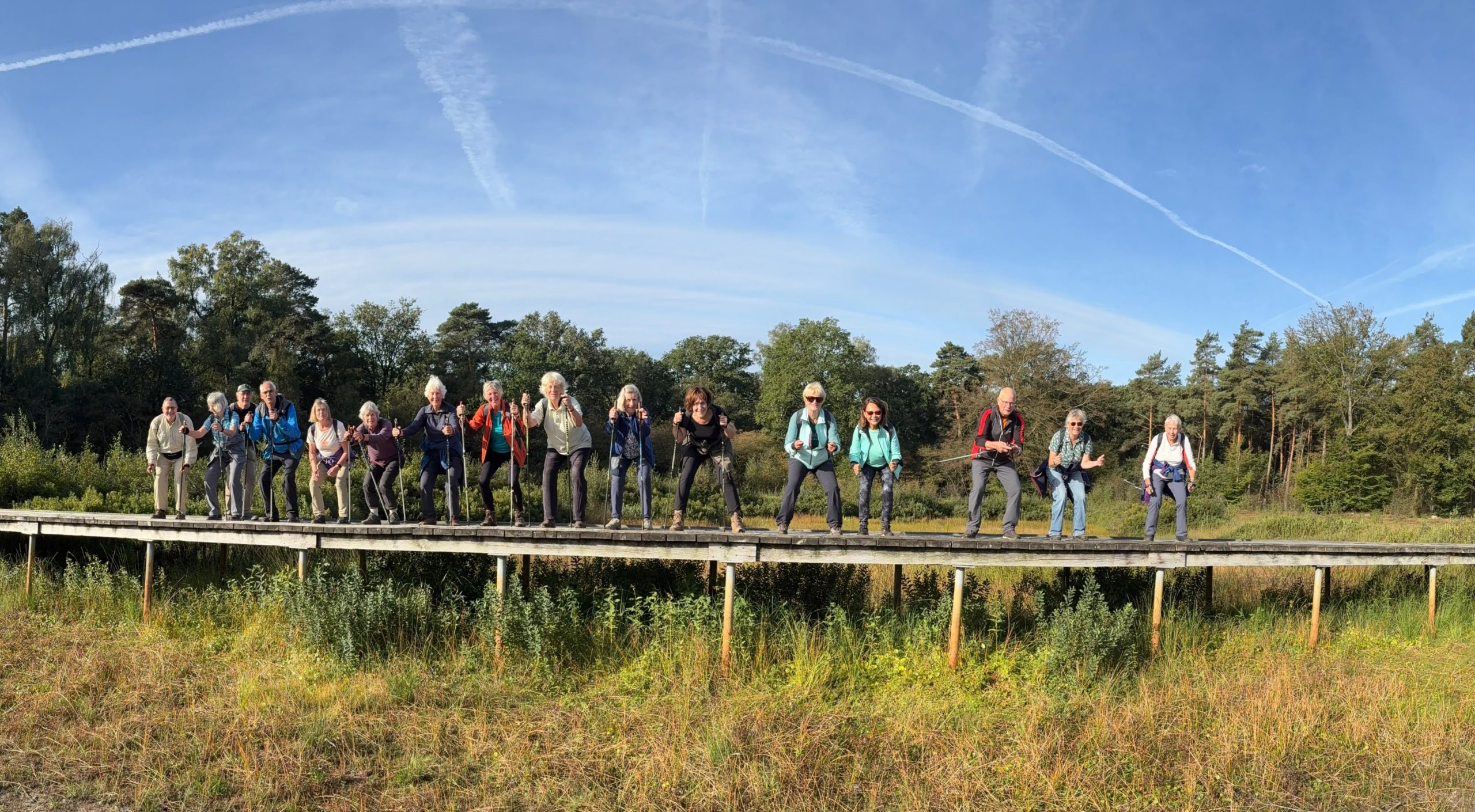 Nordic Walkingroep op de brug op de heide
